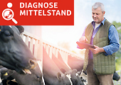 Diagnose Mittelstand 1120