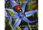 CD Fang dein Glueck 